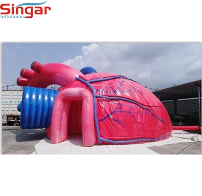 9m(29.5ft) inflatable heart for medical aducation