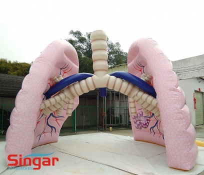 16.4ft big lung inflatable,display giant inflatable lung model